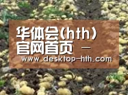 种植基地七