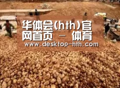 种植基地二