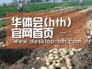 种植基地八