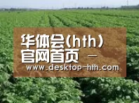 种植基地五