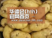 产品展示标题6