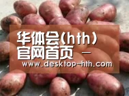 产品展示标题5