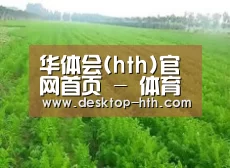 种植基地四