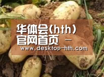 产品展示标题2