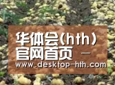 种植基地八(图1)
