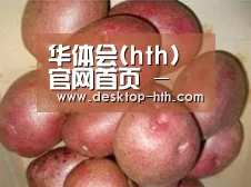产品展示标题1