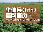 种植基地五(图1)