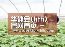 种植基地三