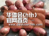 产品展示标题5(图1)
