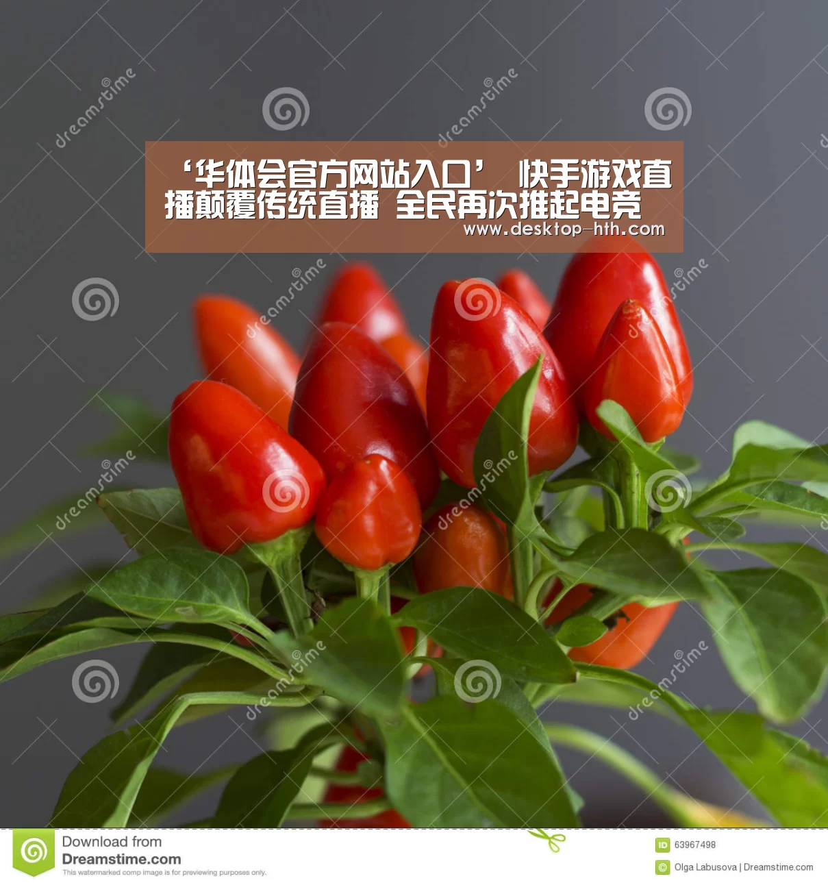 ‘华体会官方网站入口’
快手游戏直播颠覆传统直播 全民再次推起电竞热潮(图3) 华体会下载