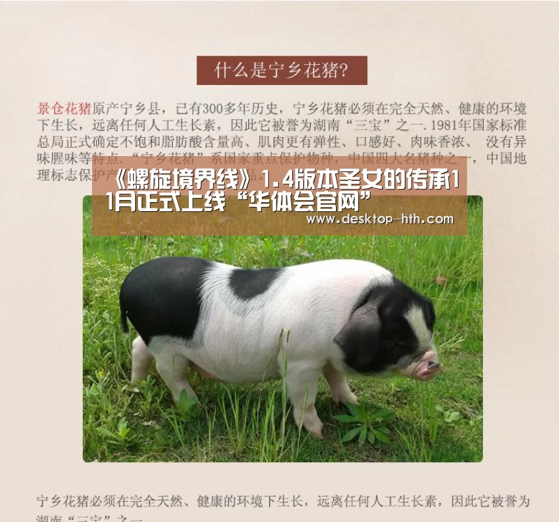 华体会下载