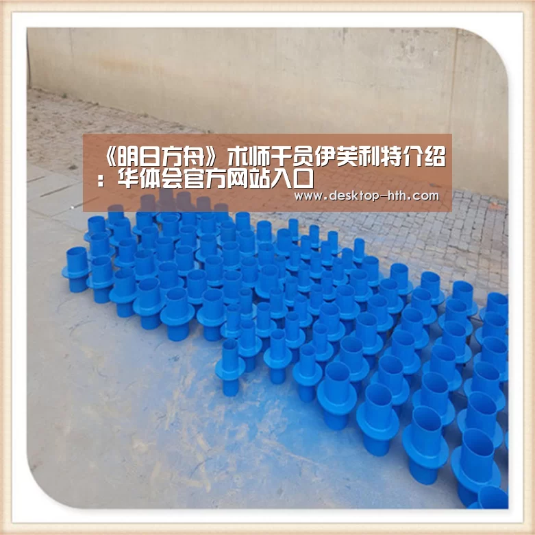 华体会官方网站入口