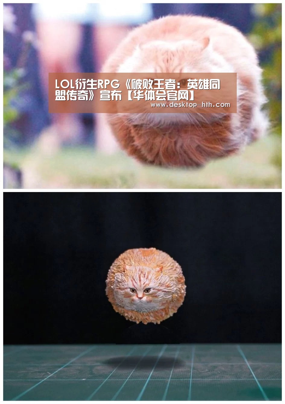 华体会官网