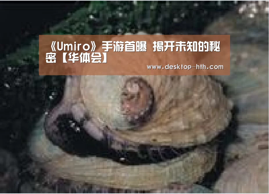 华体会